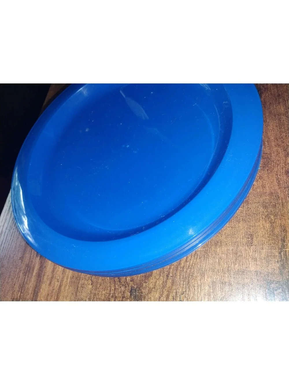 Vintage Blue Plastic Picnic Dinnerware Set with Carrying Case